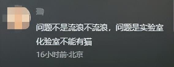 山西宠物诊疗协会__山西宠物狗