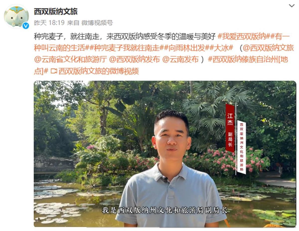 _白菜播种到收割需要多少时间_收完白菜种什么