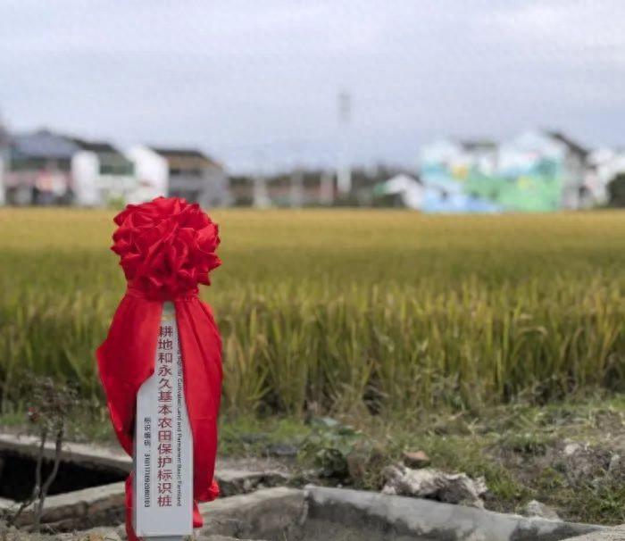 _松江沪松路农家大院_上海沪华酒店松江店