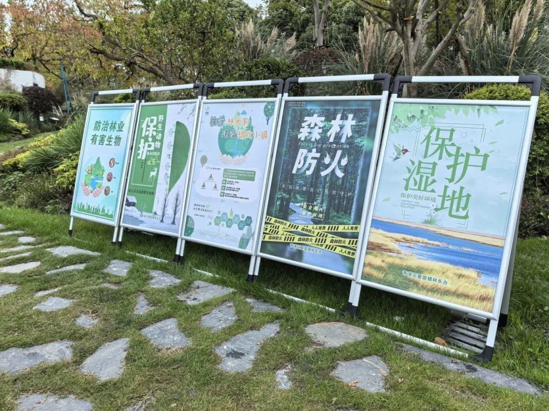 _携手保护野生动物_保护野生动物共建和谐家园